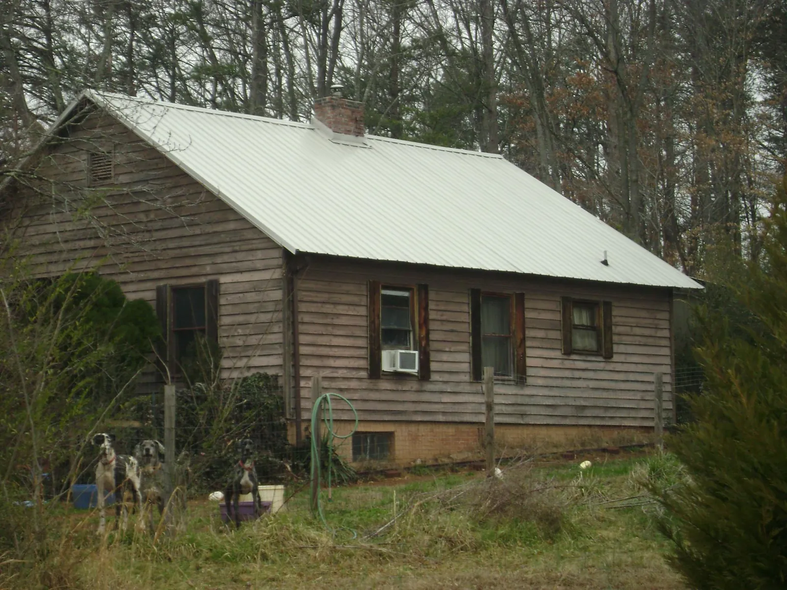 White metal roof on an old wood sided farmhouse, from a Asphalt Shingle Roof Repair job in Champaign